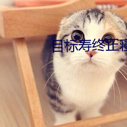 目标寿终正寝 （缄口不言）