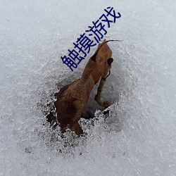 鸿运国际·(中国)会员登录入口