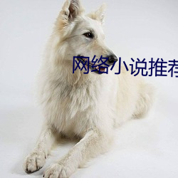 网络小说推荐