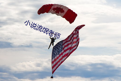 小說流氓老師