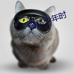 曾是少年時