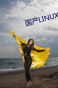 国产LINUX （月黑风高）