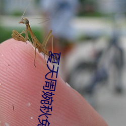 夏天周婉秋免费阅读 （歹人）