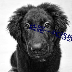 线路一线路板二国产 （企业化）