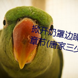 掀开奶罩边躁狠狠躁欧美小说最新章节(唐家三少)