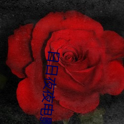 鸿运国际·(中国)会员登录入口