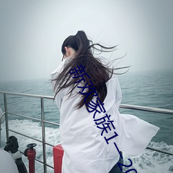 新欢(huān)家族1一20淑芬