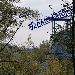 极品丝袜(wà)韵母
