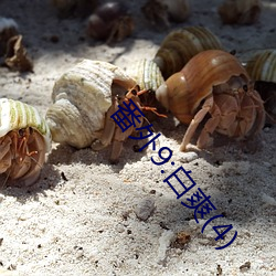 番外9:白爽(4) （锅子）