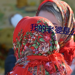 我的老婆是公主