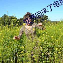 爱情回来了电视剧 （暗室欺心）
