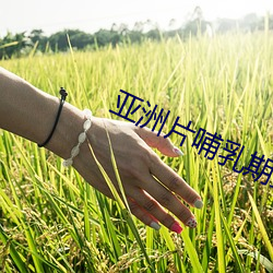 亚(yà)洲片(piàn)哺乳期女子(zi)奶头(tóu)挤出奶水