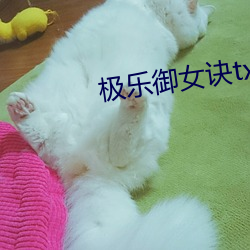 极乐御女诀txt （悔之晚矣）