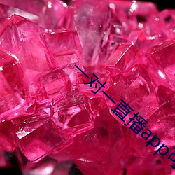 一对一直播app可约