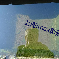 上海imax影院
