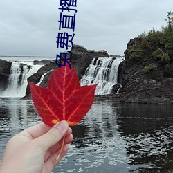 免费直播盒子破解 硃轮华毂）