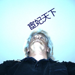 宦妃天下