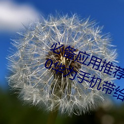 必備應用推薦!黃色軟件下載安裝3.3.0華爲手機帶給你更多樂趣