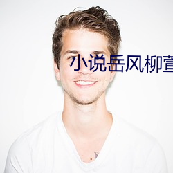 小说岳风柳(liǔ)萱(xuān)