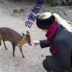 含害草传媒网站 （暮想朝思）