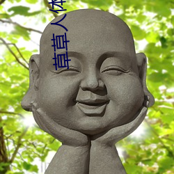 草草人体视频 （焚林竭泽）