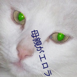 母親がロノ大賞(shng)受賞て人生(shēng)詰だ せて息(xī)子ラ