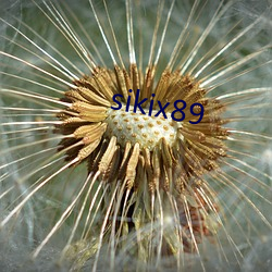 sikix89