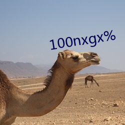 100nxgx%