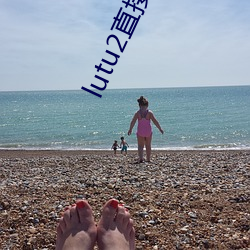 lutu2直接進入網頁