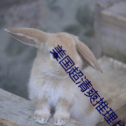 美國超清爽推理片
