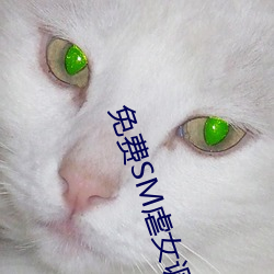 免费SM虐(nüè)女调教网站视频(pín)