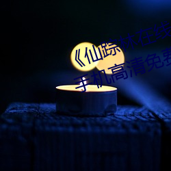 《仙踪林在线入口欢迎您免费进》手机高清免费在线观看 （雕楹碧槛）