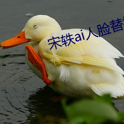 宋轶(yì)ai人(rén)脸(liǎn)替换脸忘(wàng)忧(yōu)草