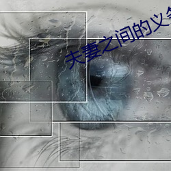 夫妻(妻)之间的义务(務)