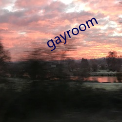 gayroom