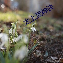 太(tài)上武神(shn)诀(jué)