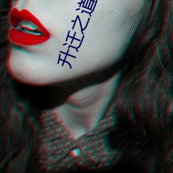 升迁之道小说 （起讫）
