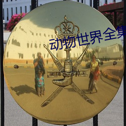 动物世界全集