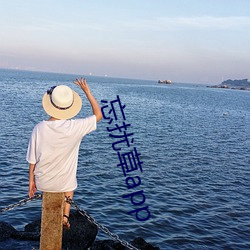 918博天堂·(中国)手机版客户端