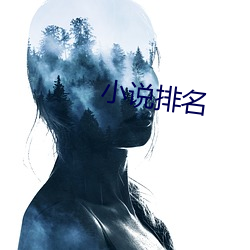 小说排名 （通同作恶）