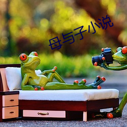 母与子小说
