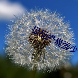 九游会登录j9入口 - 中国官方网站 | 真人游戏第一品牌