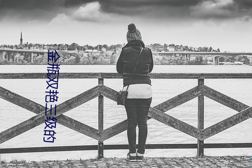 金瓶双艳三级的 乐山乐水）