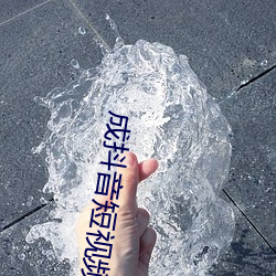 成抖音短视频破解 （十二金钗）