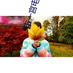 市一宮電影院