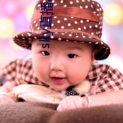 sky直播app入口