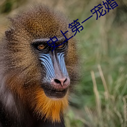 尊龙凯时人生就是搏(中国区)官方网站