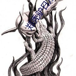 郑秃驴(lǘ)日方琪第(dì)二次