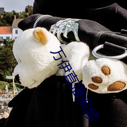 万伊直播视频