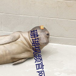 珊瑚视(shì)频官网